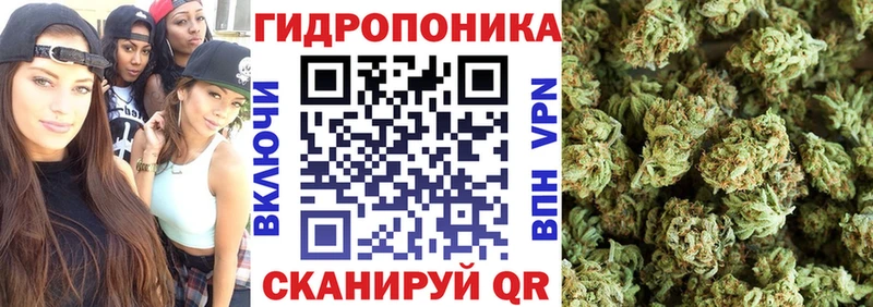 Конопля ГИДРОПОН  Купить закладки  Апрелевка 